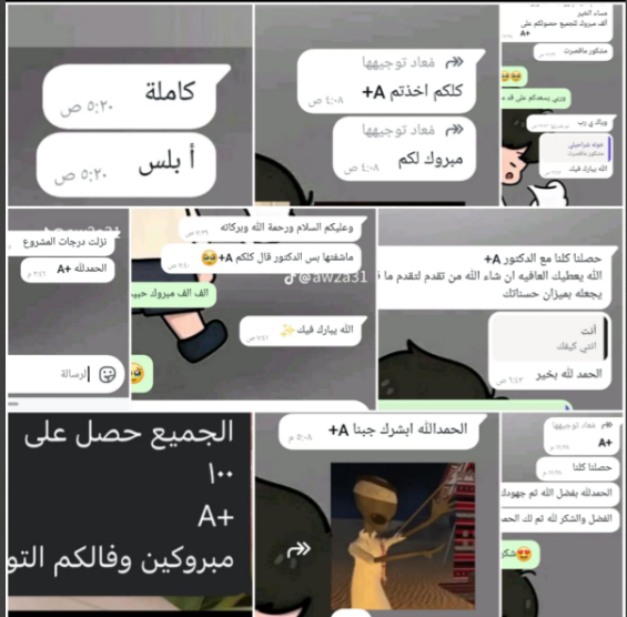 سكرين شوت رسالة واتساب 3